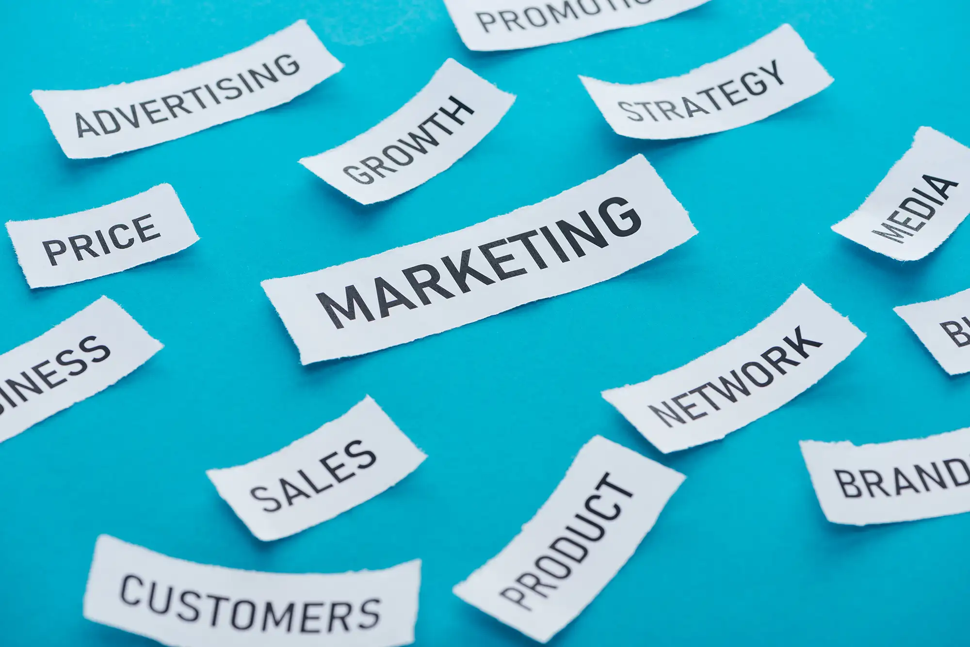 Marketing and Business Planning and Development